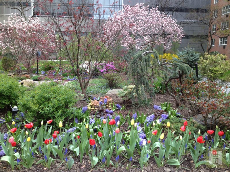 345 West 58th Street