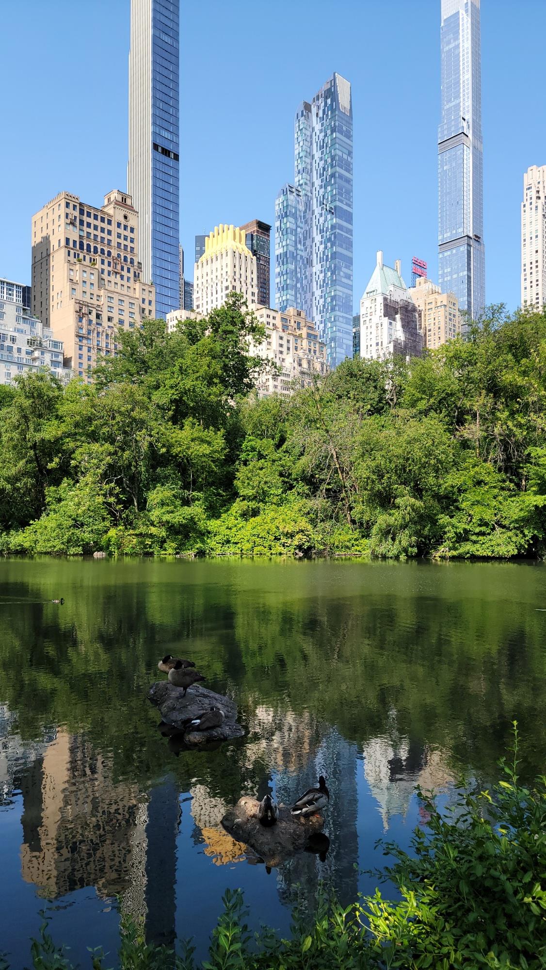 25 West 64th Street