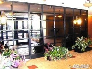 68-20 Selfridge Street