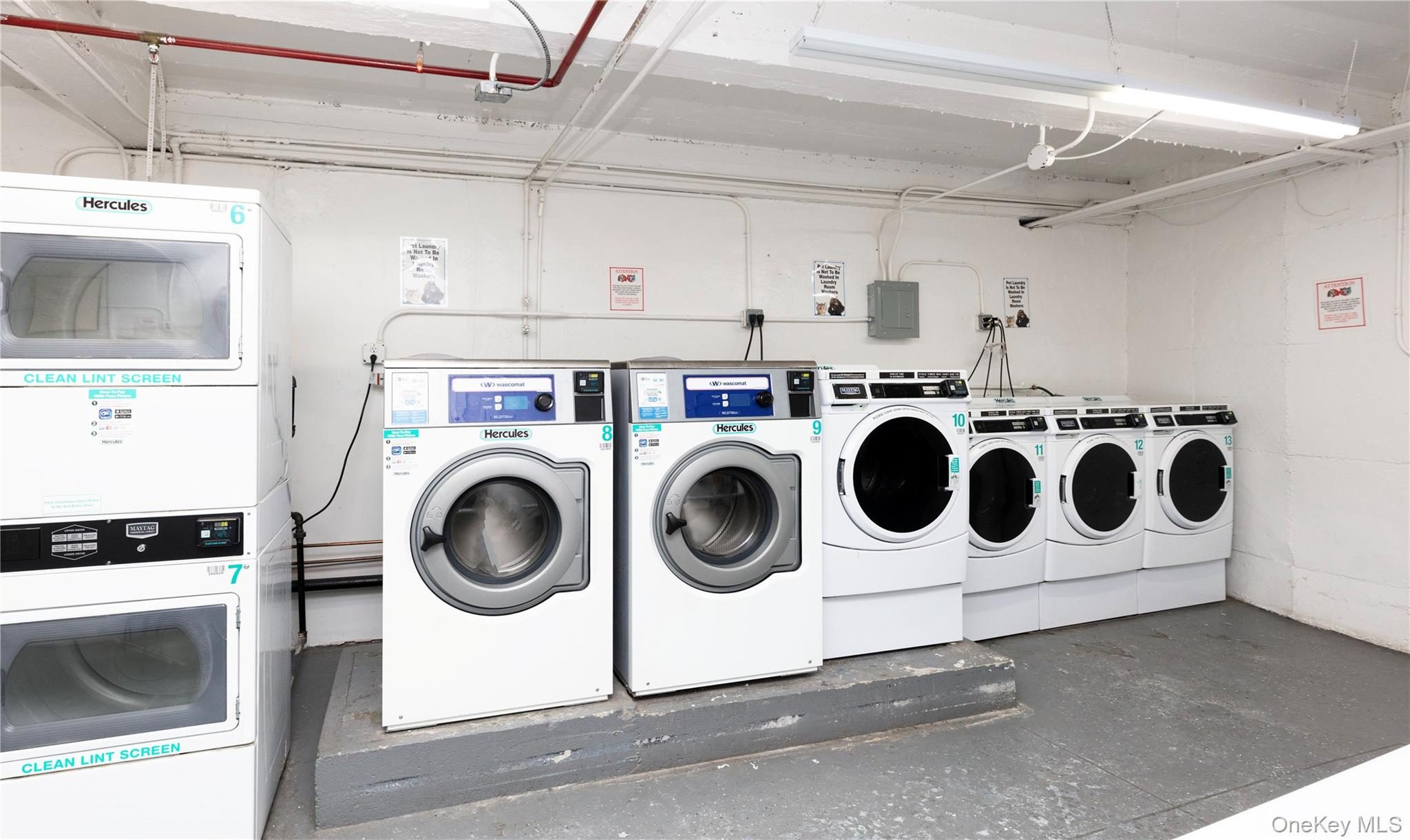 Laundry