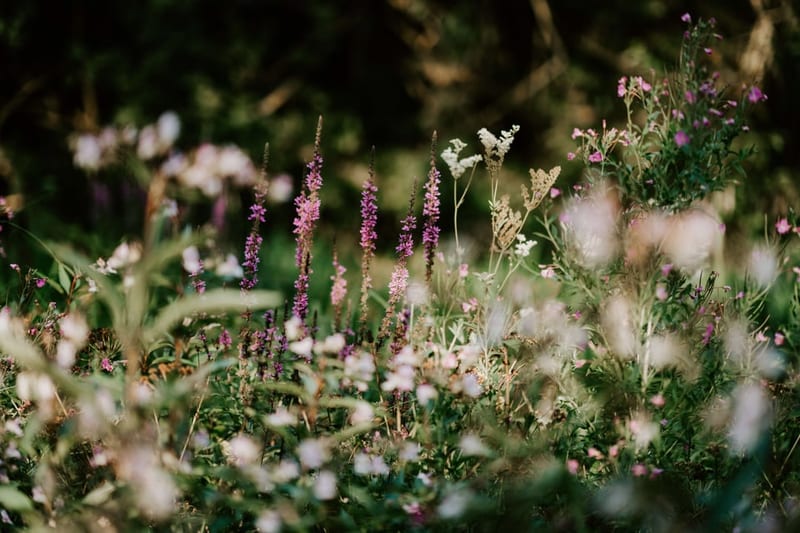 The Local’s List: Secret Gardens and Parks in NYC