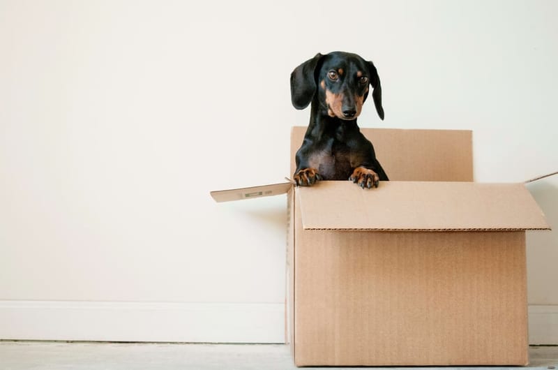 Your Essential Move-In Checklist
