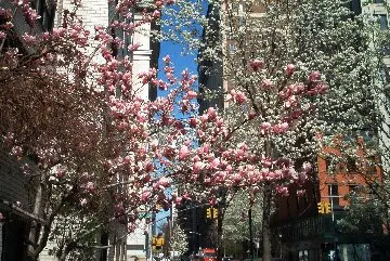 130 East 18th Street