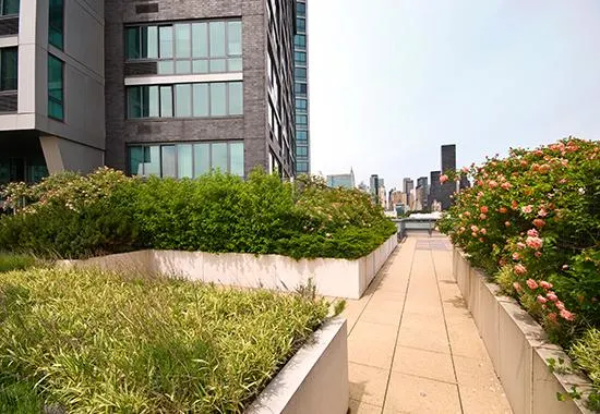 47-20 Center Boulevard