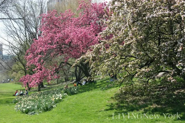 14 West 103rd Street