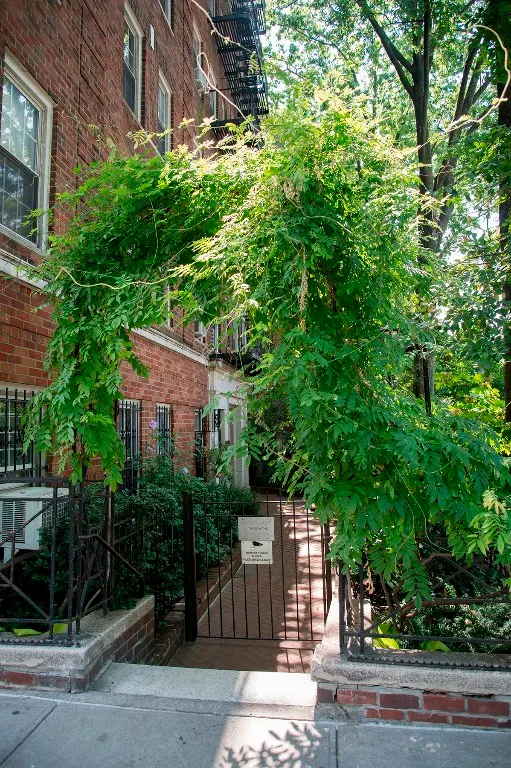 25 Minetta Lane