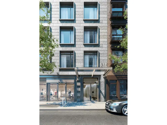 319 Schermerhorn Street