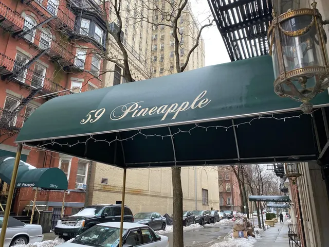 59 Pineapple Street
